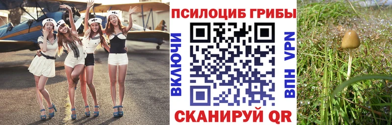 ОМГ ОМГ tor  купить наркоту  Ликино-Дулёво  Галлюциногенные грибы Psilocybine cubensis 